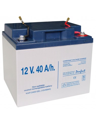 Pila Recargable 12 V. 40 A/h.